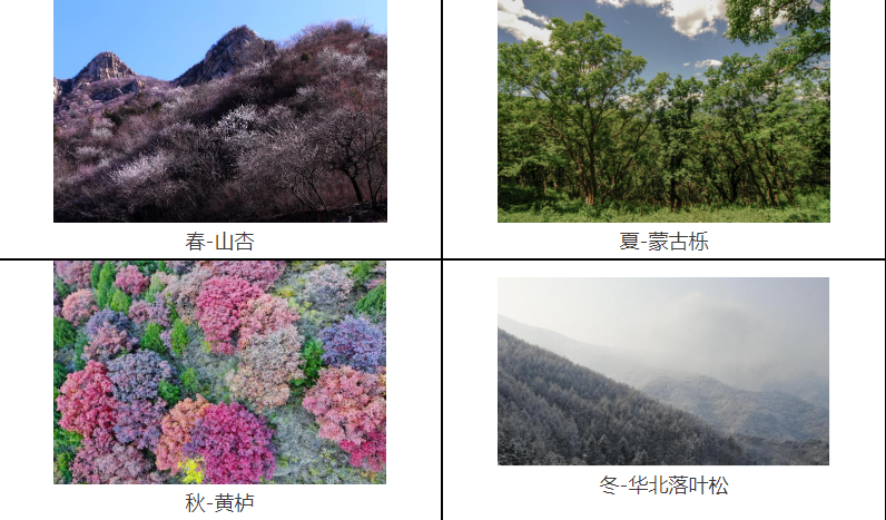 微信图片_20250526103106.png